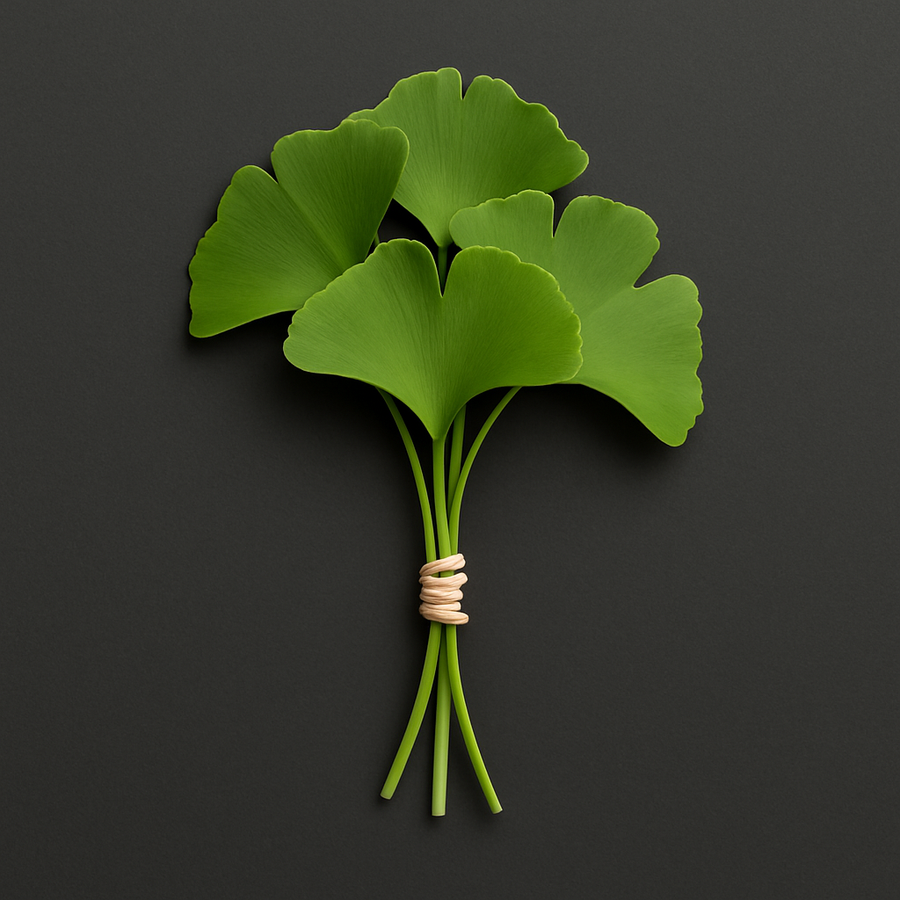 Gingko Biloba