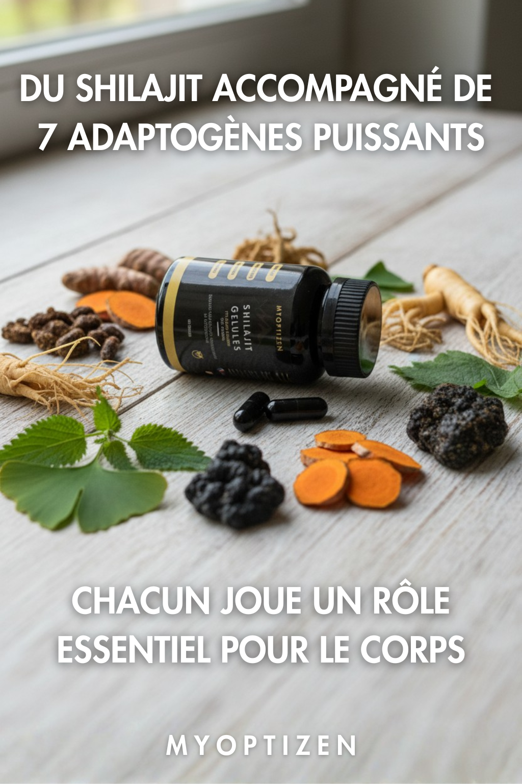 Shilajit MyOptizen™ — La routine d’énergie sans compromis